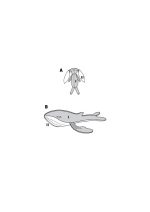 6044 - Mīkstās Rotaļlietas - Image 12