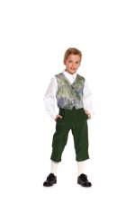 9528 - Bīdermaiera Bikškostīms - Image 6